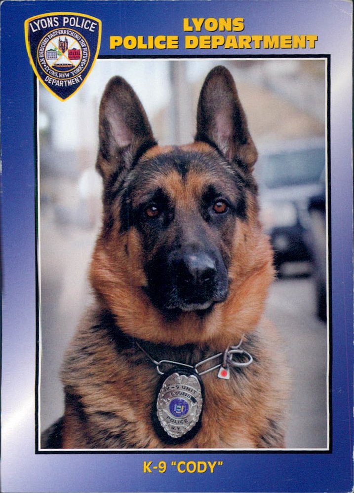 K-9 Cody