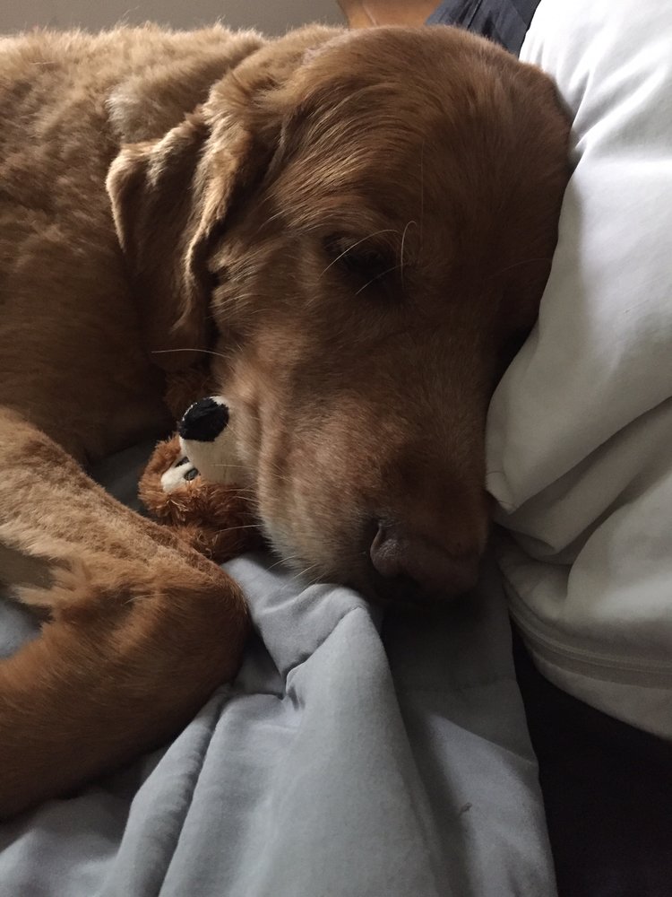 Cooper Benz