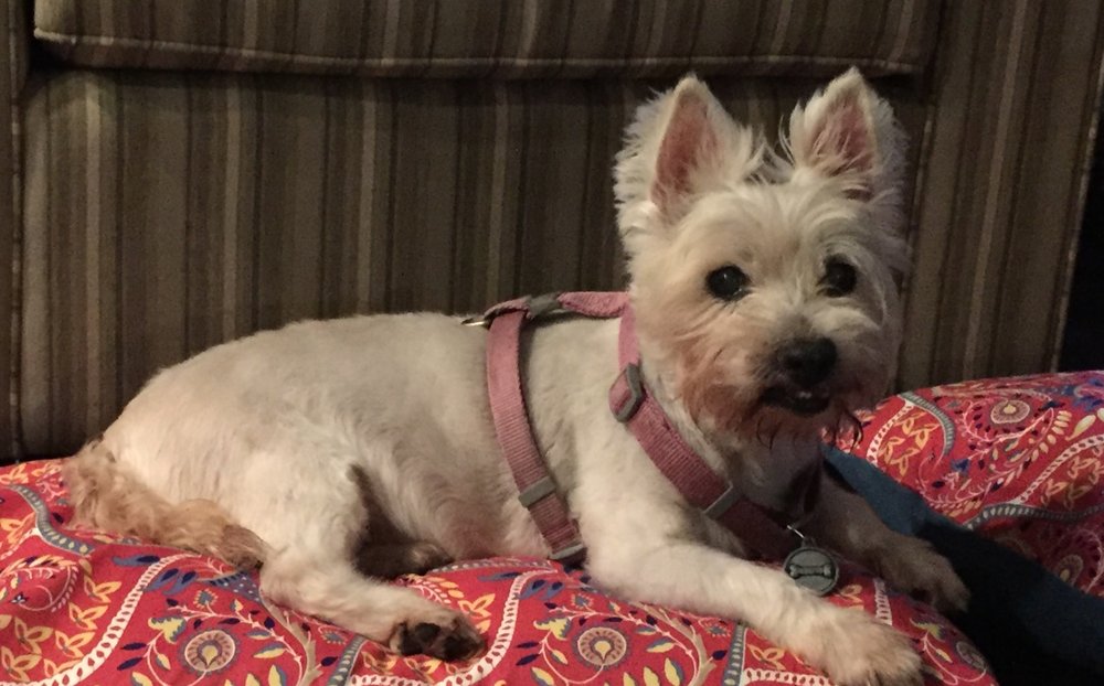 Maggie Lucille Pease
