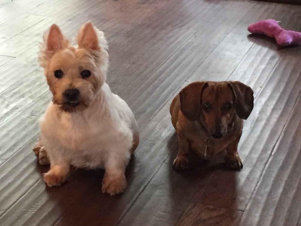 Maggie Lucille Pease