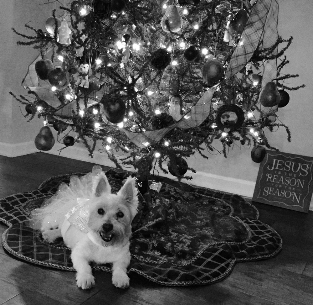 Maggie Lucille Pease