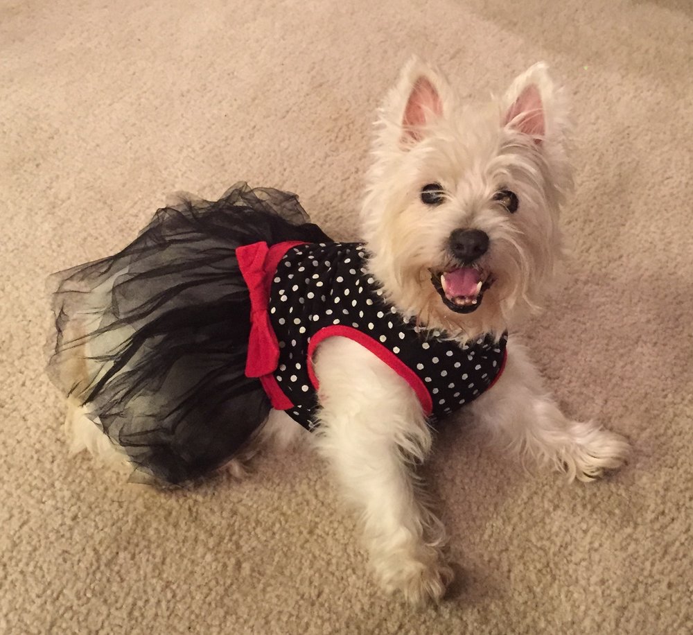 Maggie Lucille Pease